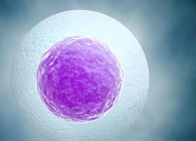 2026北京男科精液检查费用详解，附查精各项目一览