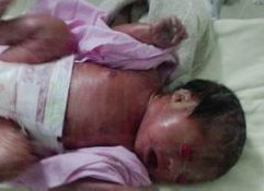 成都做三代试管婴儿的正规医院有哪些？这七个重点试管医院可行