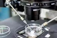 2026吉安市最新男性陪产假有多少天？试管婴儿可以增加产假吗？