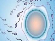 初生的试管婴儿怎样照顾（刚出生的试管婴儿护理注意事项）