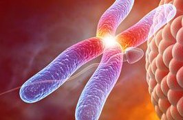 四维胎儿鼻骨未见显示生下来之后是什么样的？会不会智力有问题？